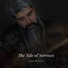 Seyed Ali Jaberi