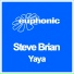Steve Brian