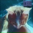 Imibra
