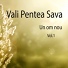 Vali Pentea Sava