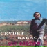 Cevdet Babacan
