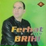 Ferhat Brihi