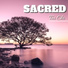 Tai Chi Music Institute & Tai Chi
