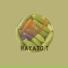 HAYATO.T