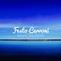 Festo Cerroni