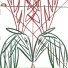 Kourgane