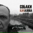 Собаки Качалова