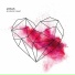 Anthus