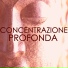 Scuola di Concentrazione