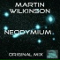 Martin Wilkinson
