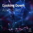Aswin S Roy