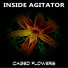 Inside Agitator