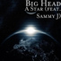 Big Head feat. Sammy J