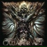 Mortal Decay
