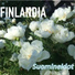 Suomineidot