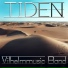 VilhelmMusic band