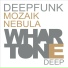 Deepfunk