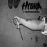 Hydra