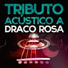 Acoustic Soul