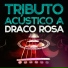 Acoustic Soul