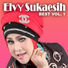 Elvy Sukaesih