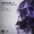 Sceptical C