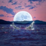 WHALEWAVESVIBE