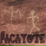 Pacayote