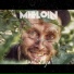 Mieloin