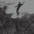 Wayne Lynch