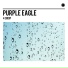 Purple Eagle