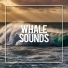 Whale Sounds