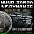 Nuno Zanga, F.Dynamic