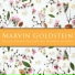 Marvin Goldstein