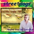 Streetdogs feat. John Robinson Electric Guppy Van