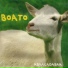 Boato