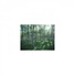 Mindfulness Healing Bgm Project