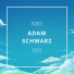 Adam Schwarz