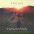 9 Theory
