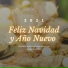 Jose Navidad