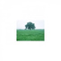 Mindfulness Healing BGM Project