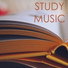 Relaxation Study Music