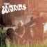 01 The Wands