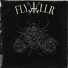 FlyKKiller