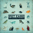 Calm Pets Music Academy