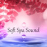 Ultimate Spa Music Academy