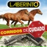 Grupo Laberinto