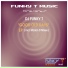 DJ Funky T