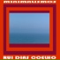 Rui Dias Coelho