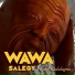 Wawa Salegy